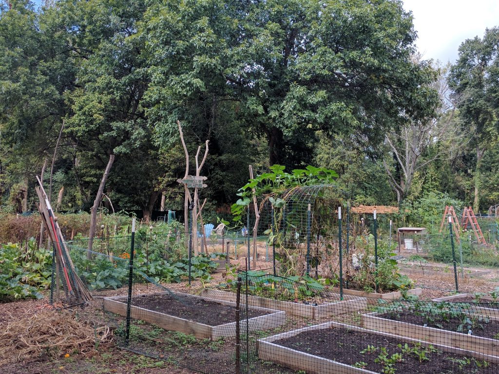 A community garden in the Dunlavin neighborhood occupies some of the open space created by the County using their “rainy day” fund. Photo by Ashton Rohmer