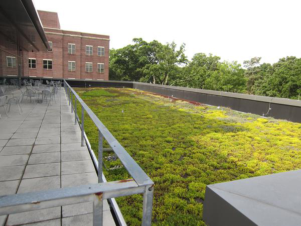 An extensive green roof on the FedEx Global Education Center at the University of North Carolina at Chapel Hill is part of the campus's sustainability initiatives.